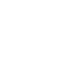 github link